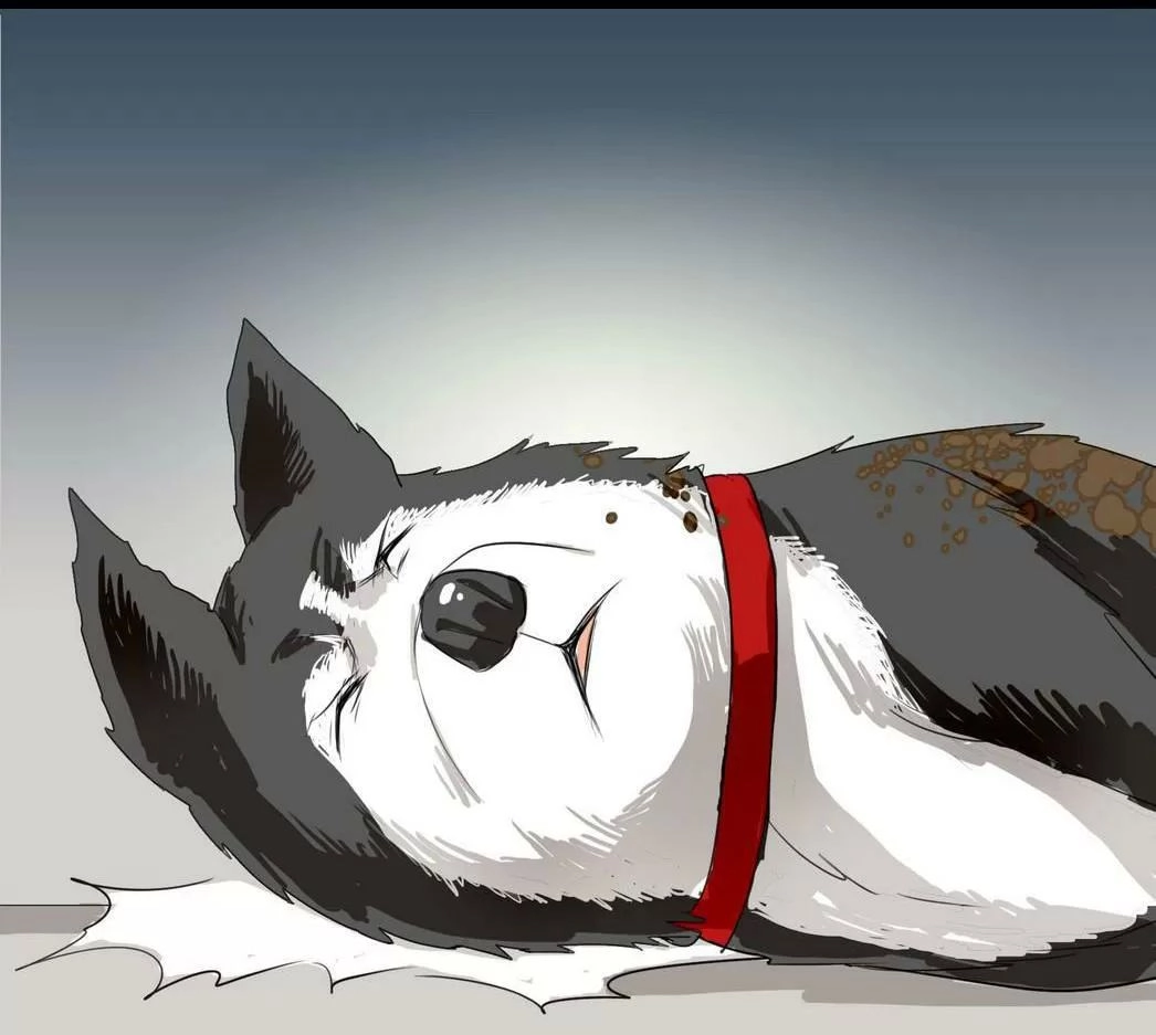 Một Con Chó Chapter 60 - 9