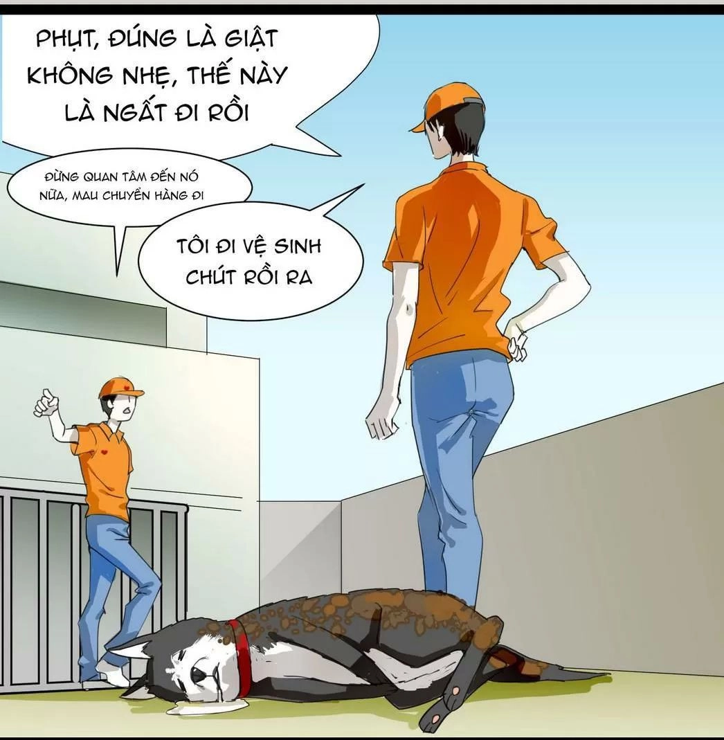 Một Con Chó Chapter 60 - 10