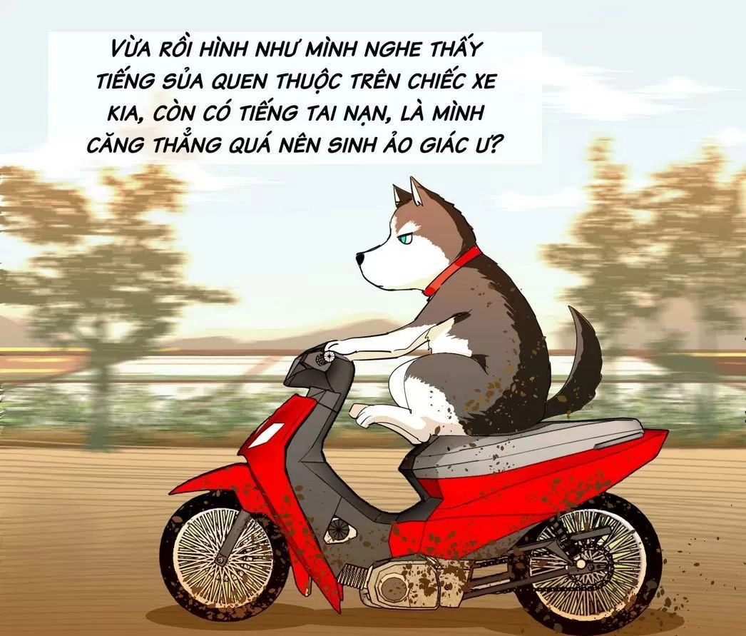 Một Con Chó Chapter 64 - 1