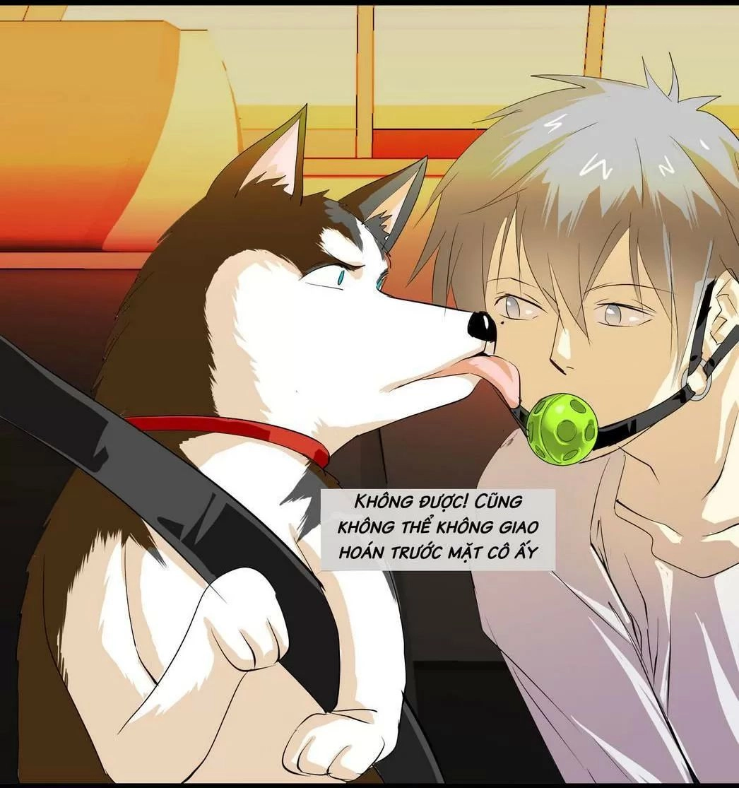 Một Con Chó Chapter 64 - 11