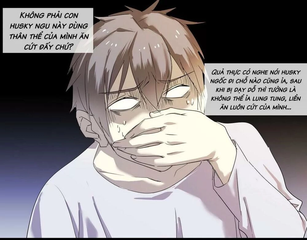 Một Con Chó Chapter 65 - 2