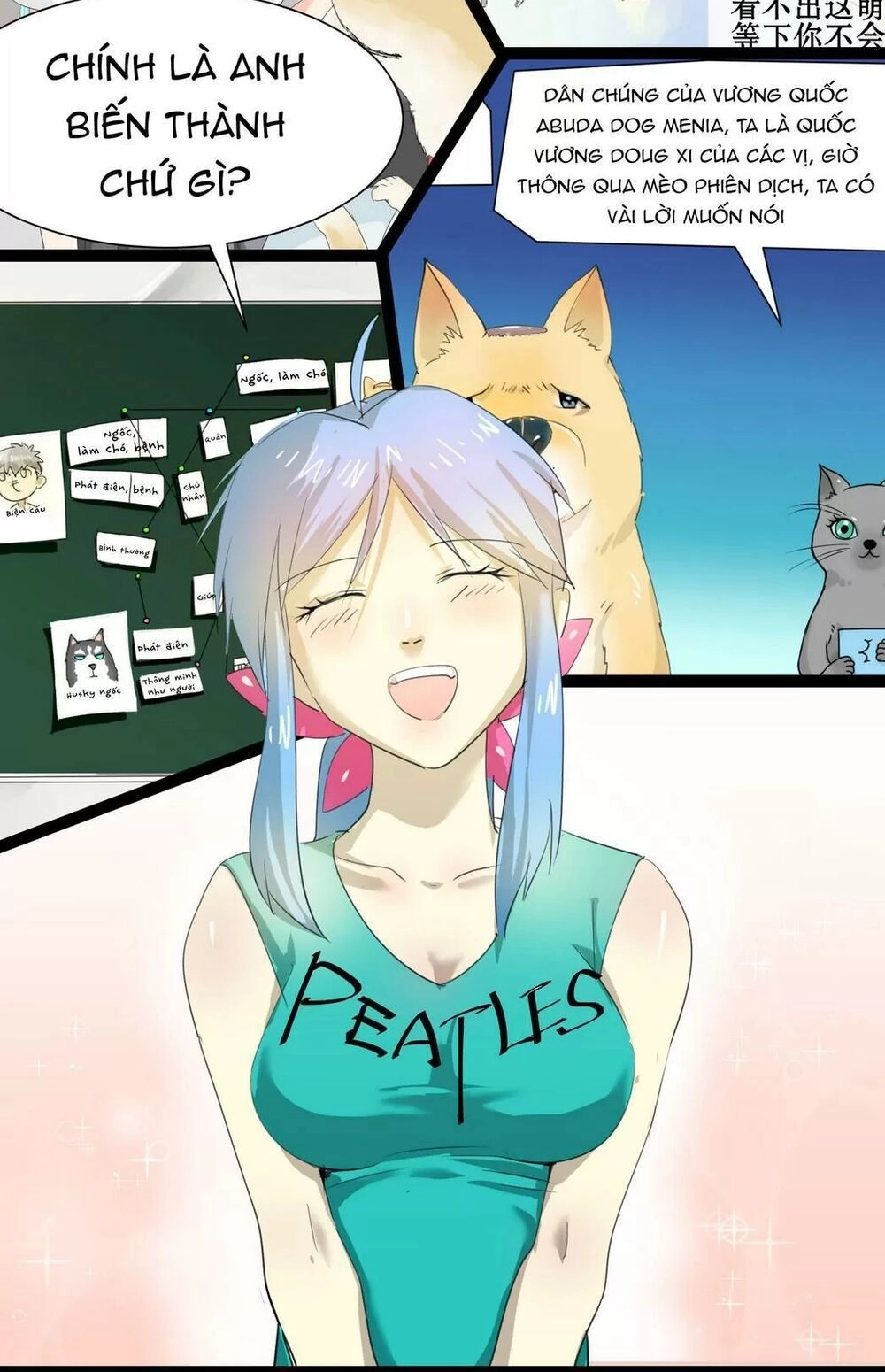 Một Con Chó Chapter 65 - 12