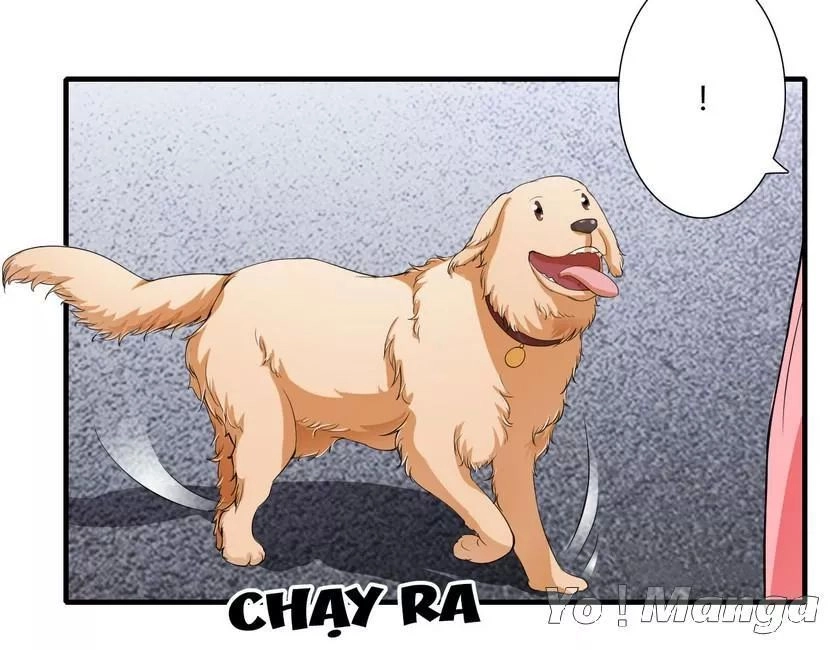 Thiểm Hôn Kinh Ái Chapter 43 - 13