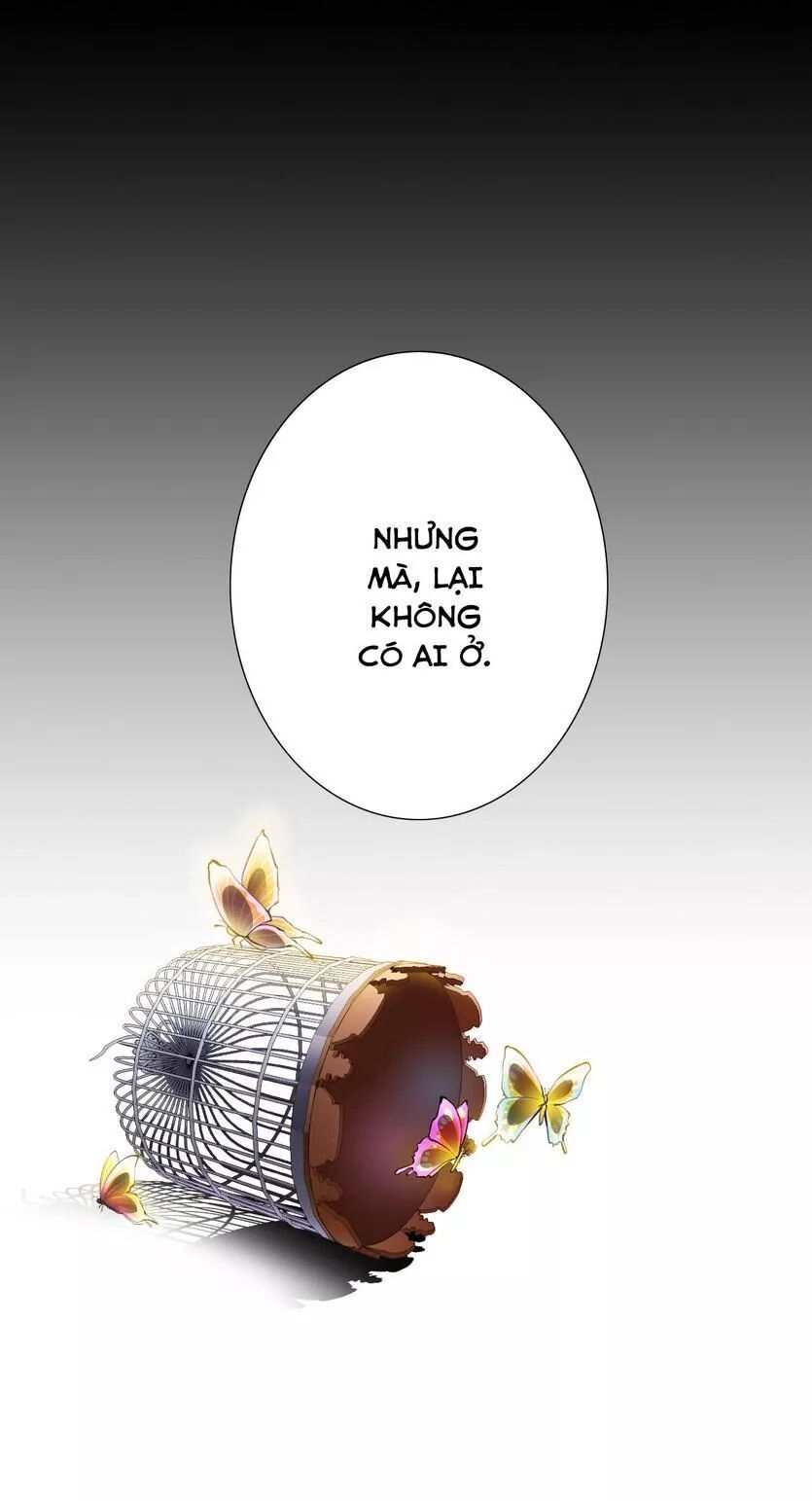 Thiểm Hôn Kinh Ái Chapter 83 - 33