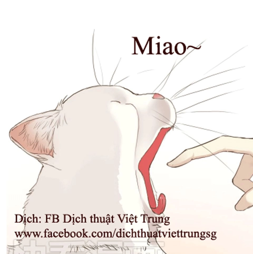 Thần Tượng Điểm Zero Chapter 37 - 7