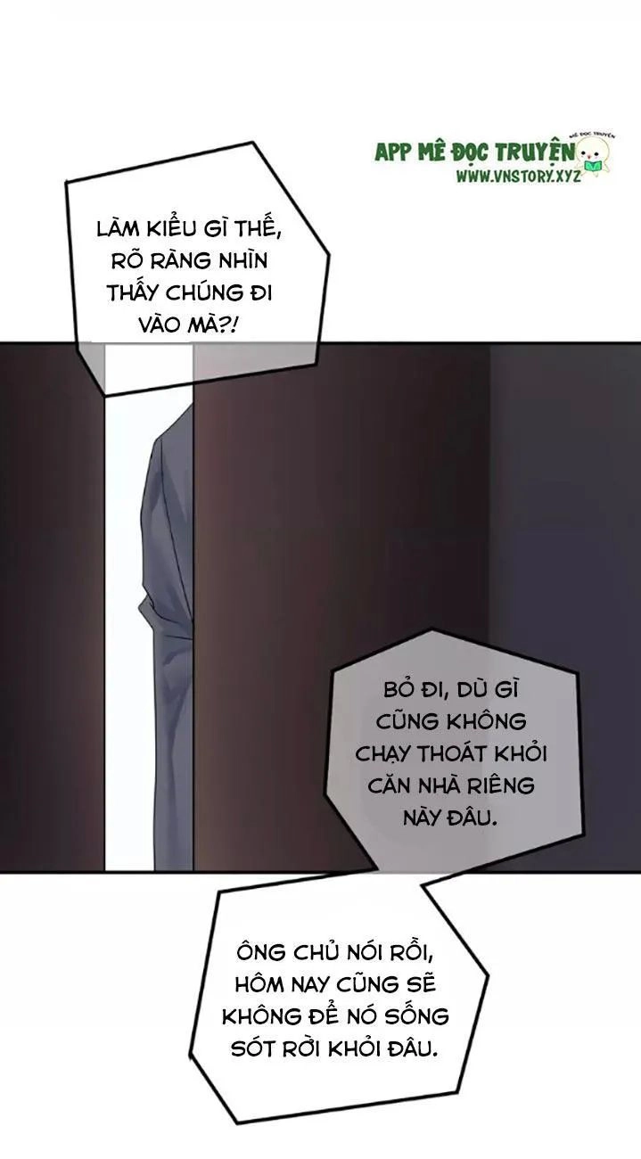 Thần Tượng Điểm Zero Chapter 116 - 6