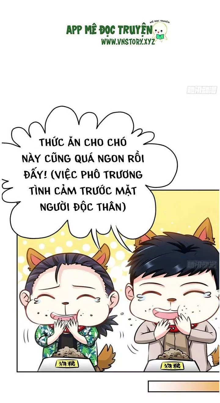 Đế Thiếu Chuyên Sủng Hắc Đạo Thê Chapter 52 - 36