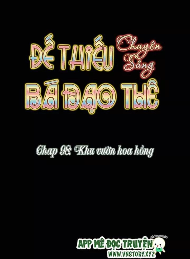 Đế Thiếu Chuyên Sủng Hắc Đạo Thê Chapter 98 - 5