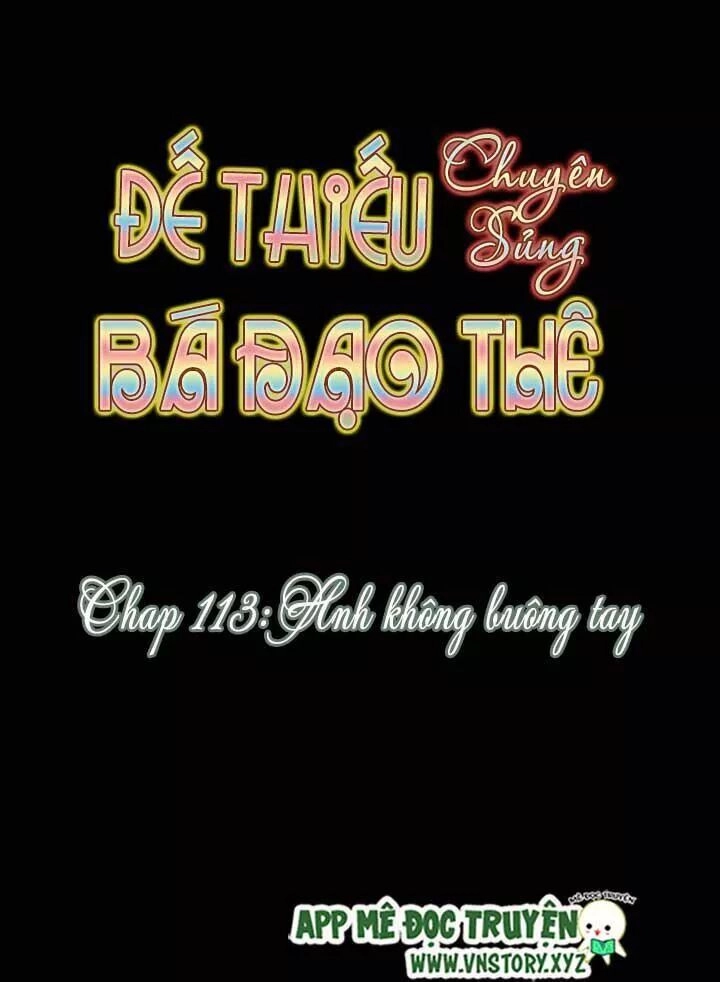 Đế Thiếu Chuyên Sủng Hắc Đạo Thê Chapter 113 - 2