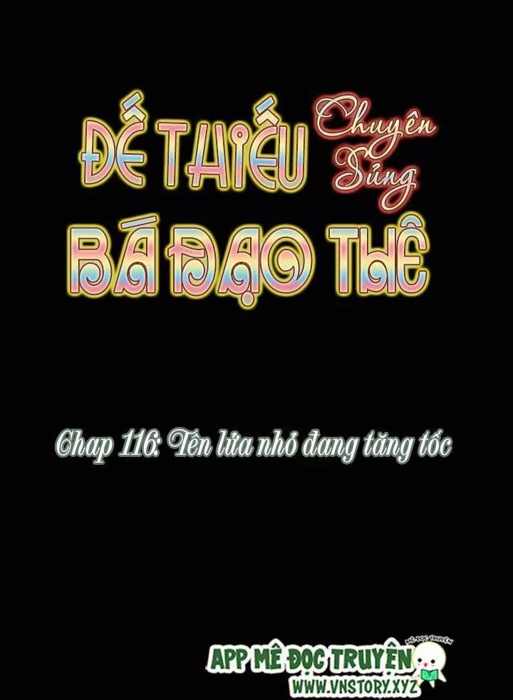 Đế Thiếu Chuyên Sủng Hắc Đạo Thê Chapter 116 - 5