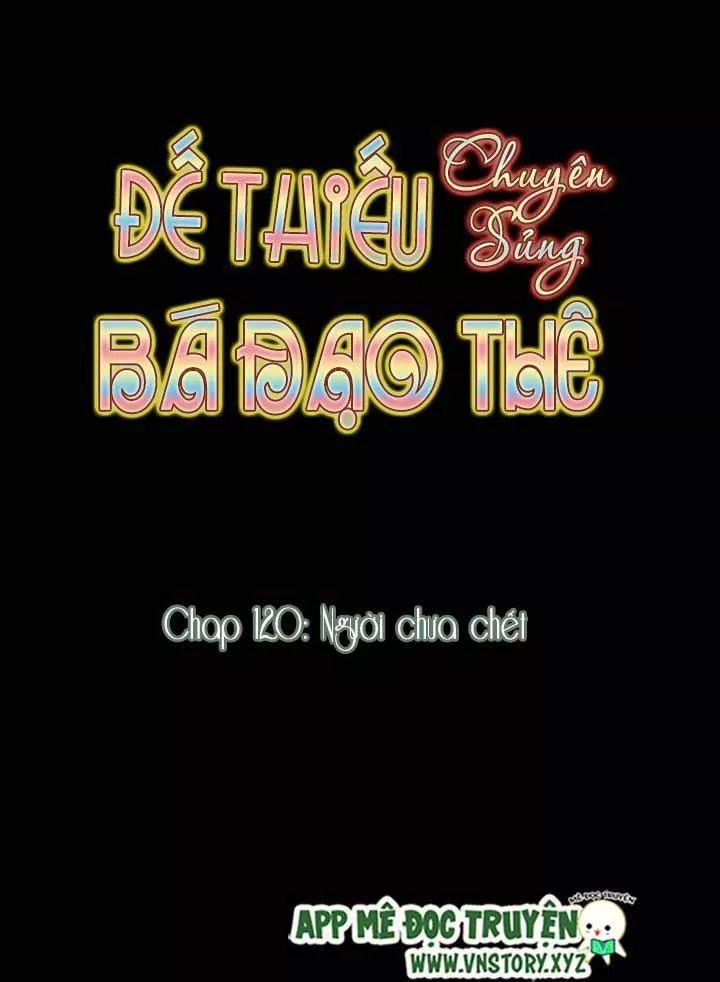 Đế Thiếu Chuyên Sủng Hắc Đạo Thê Chapter 120 - 5