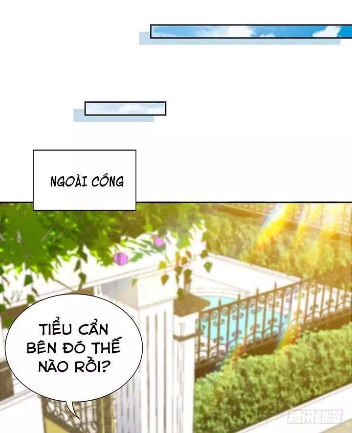 Đế Thiếu Chuyên Sủng Hắc Đạo Thê Chapter 164 - 15