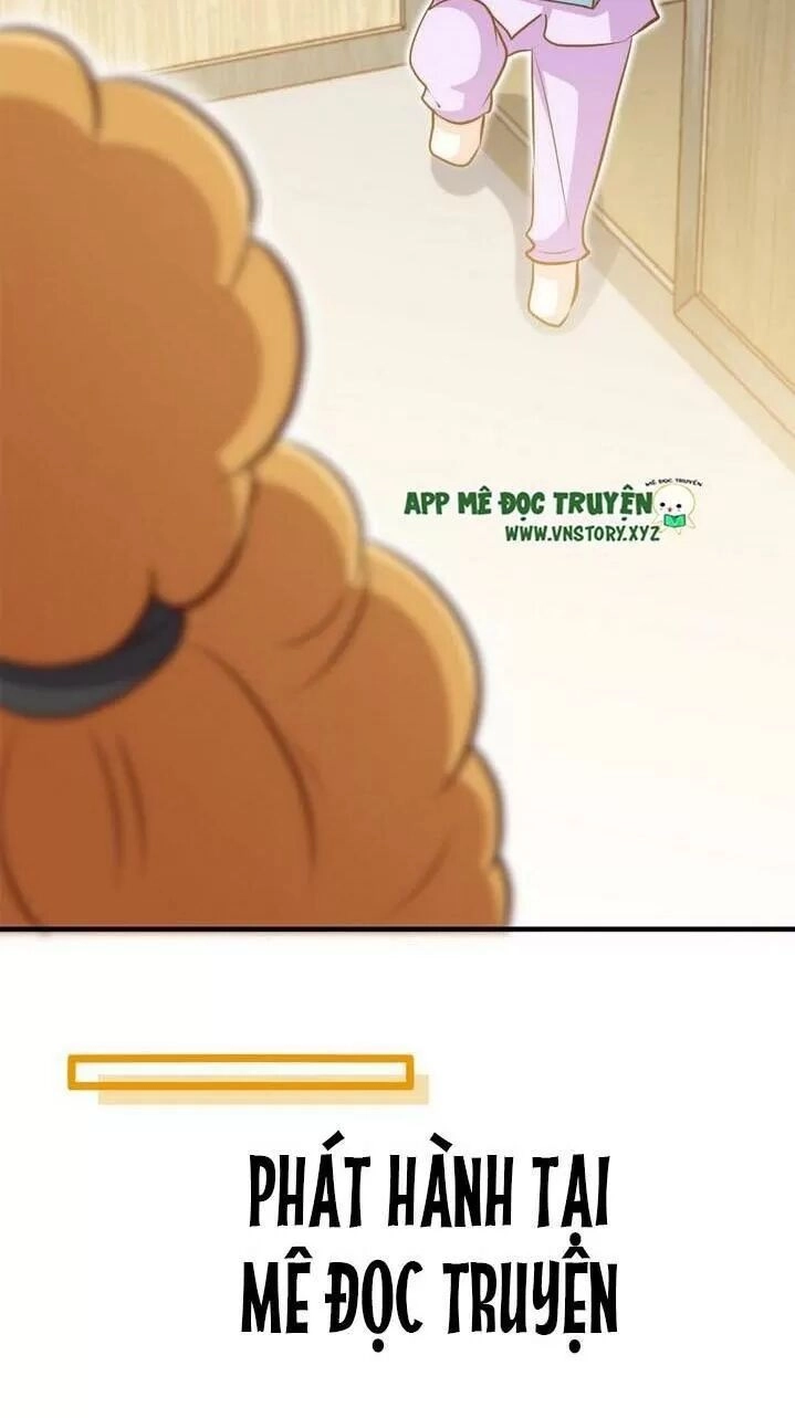 Đế Thiếu Chuyên Sủng Hắc Đạo Thê Chapter 261 - 26