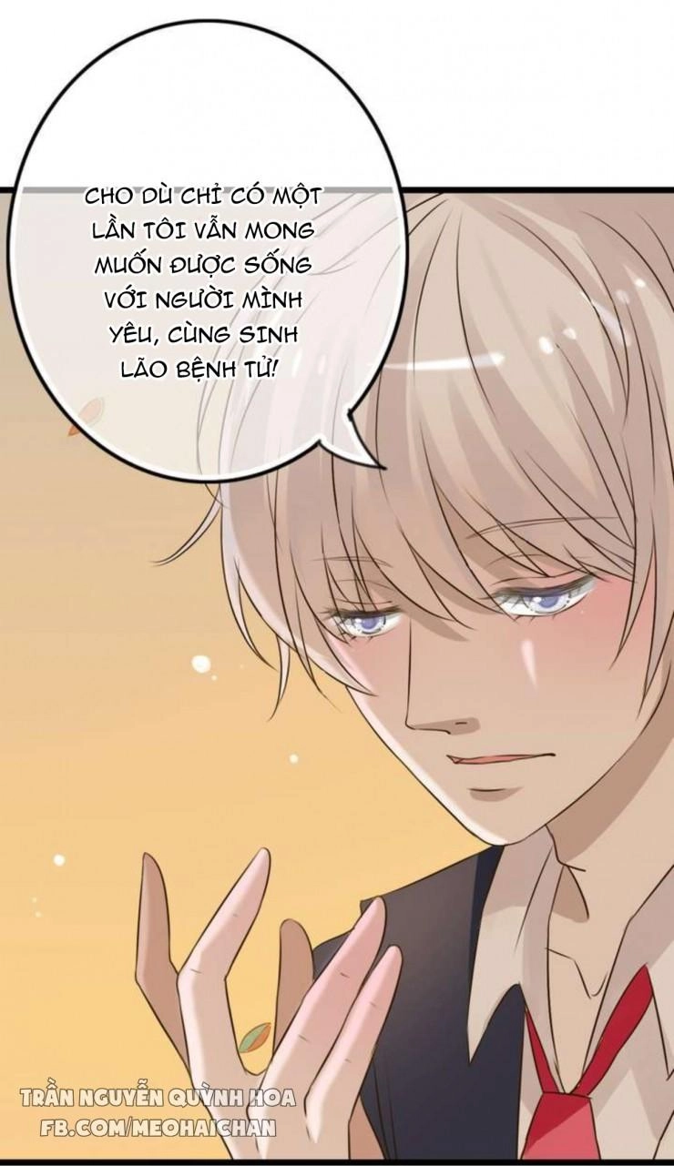 Sau Con Mưa Mùa Hạ Chapter 4 - 4