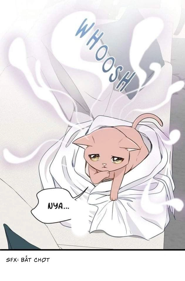 Một Cuộc Sống Kỳ Lạ Chapter 2 - 39