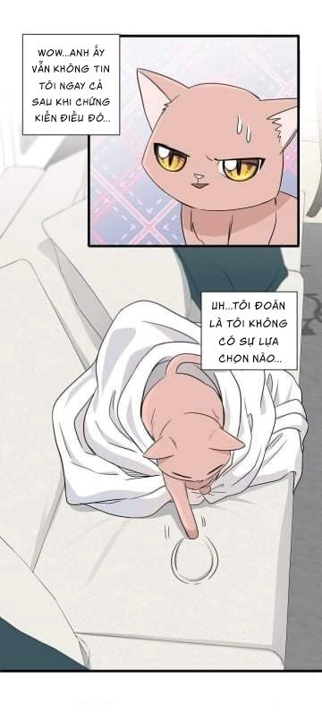 Một Cuộc Sống Kỳ Lạ Chapter 2 - 43