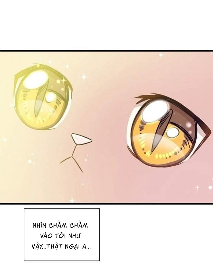 Một Cuộc Sống Kỳ Lạ Chapter 2 - 50