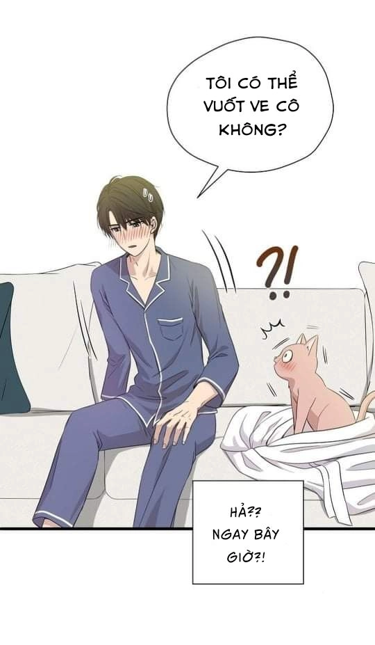 Một Cuộc Sống Kỳ Lạ Chapter 2 - 52