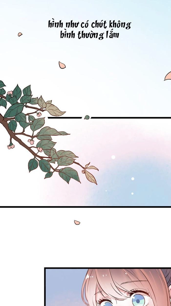 Đom Đóm Trên Dòng Sông Cô Quạnh Chapter 15 - 22