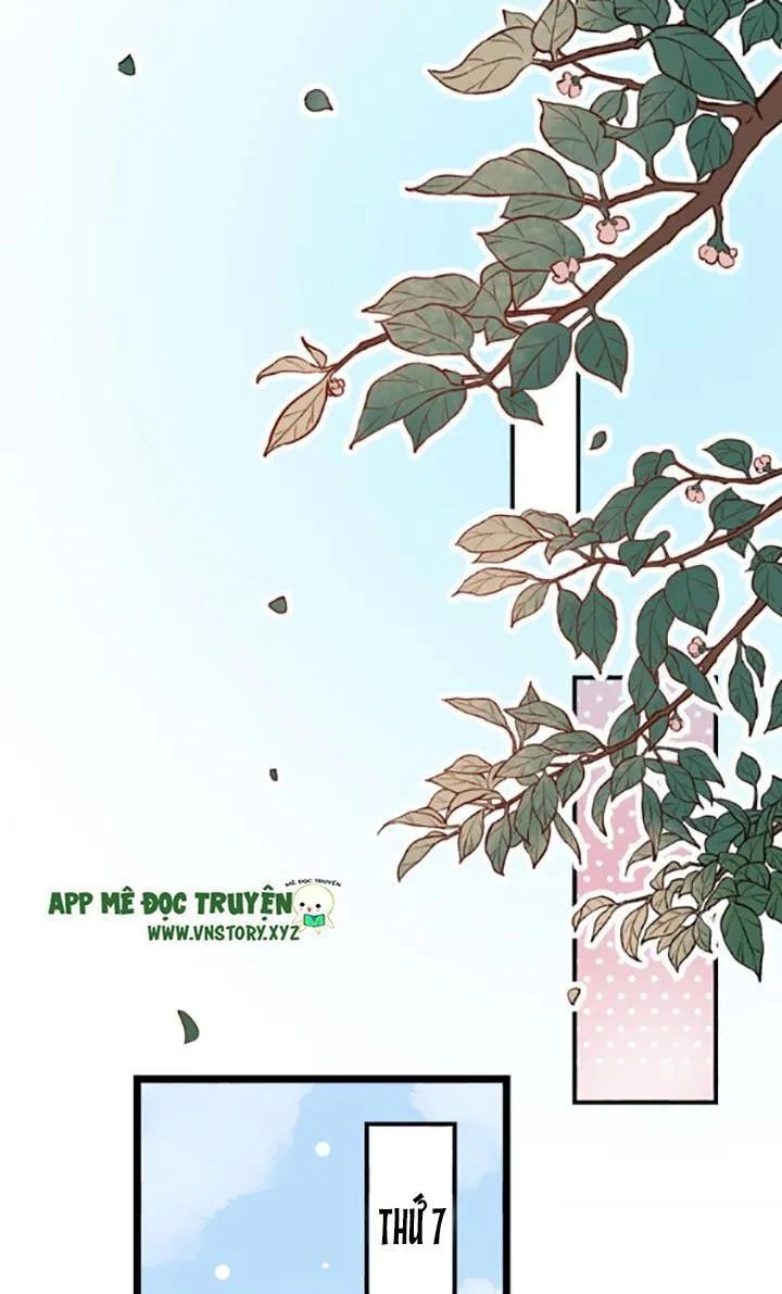 Đom Đóm Trên Dòng Sông Cô Quạnh Chapter 28 - 1