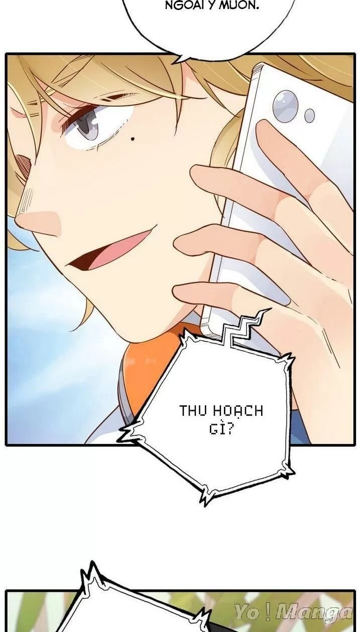 Cái Vòng Này Thật Loạn Chapter 144 - 10