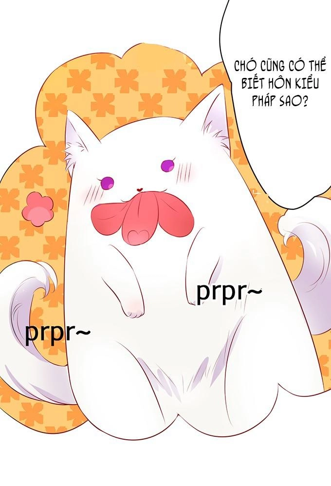 Huyết Tộc Đáng Yêu Chapter 1 - 14