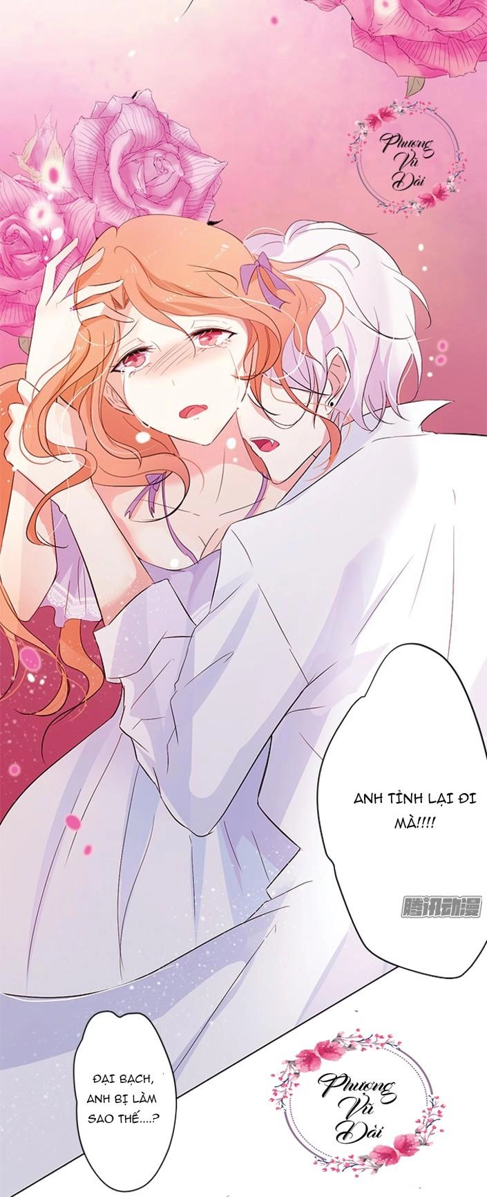 Huyết Tộc Đáng Yêu Chapter 5 - 10