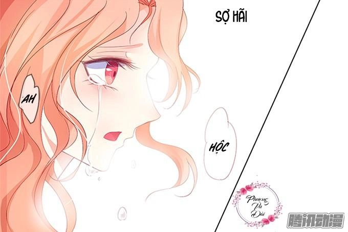 Huyết Tộc Đáng Yêu Chapter 5 - 17