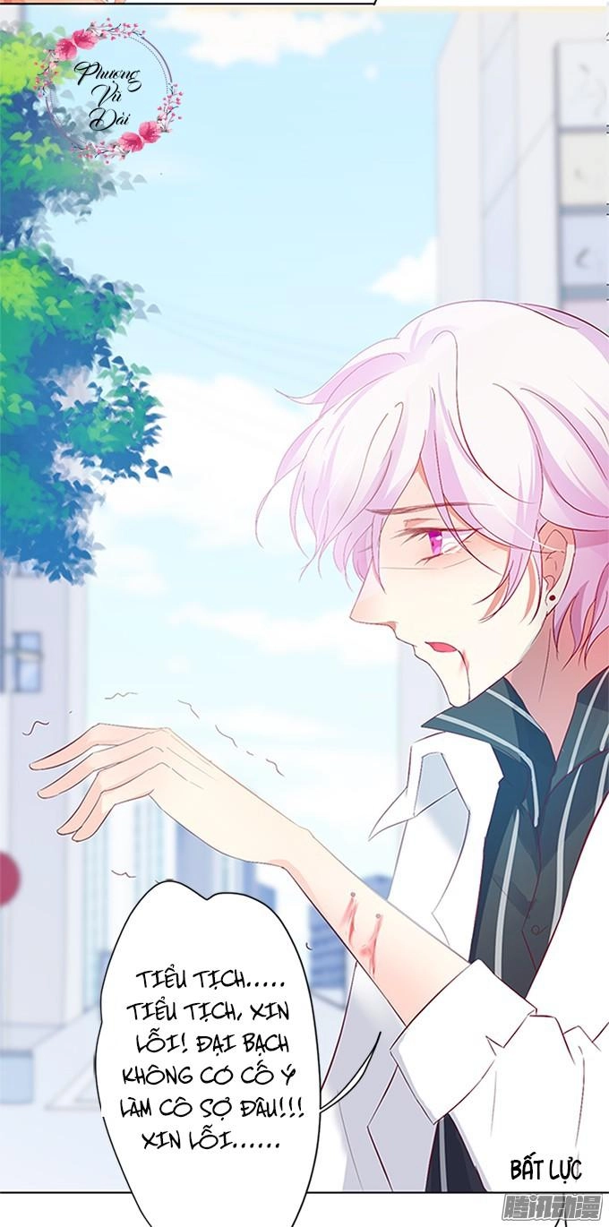 Huyết Tộc Đáng Yêu Chapter 5 - 18