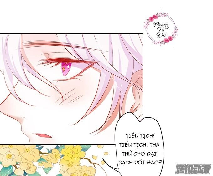 Huyết Tộc Đáng Yêu Chapter 5 - 41