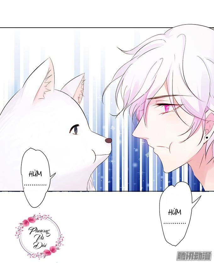 Huyết Tộc Đáng Yêu Chapter 9 - 17