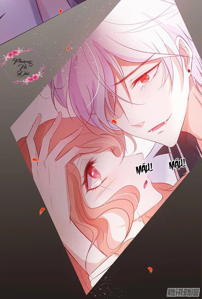 Huyết Tộc Đáng Yêu Chapter 9 - 26