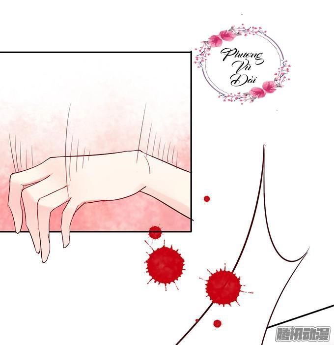 Huyết Tộc Đáng Yêu Chapter 11 - 24