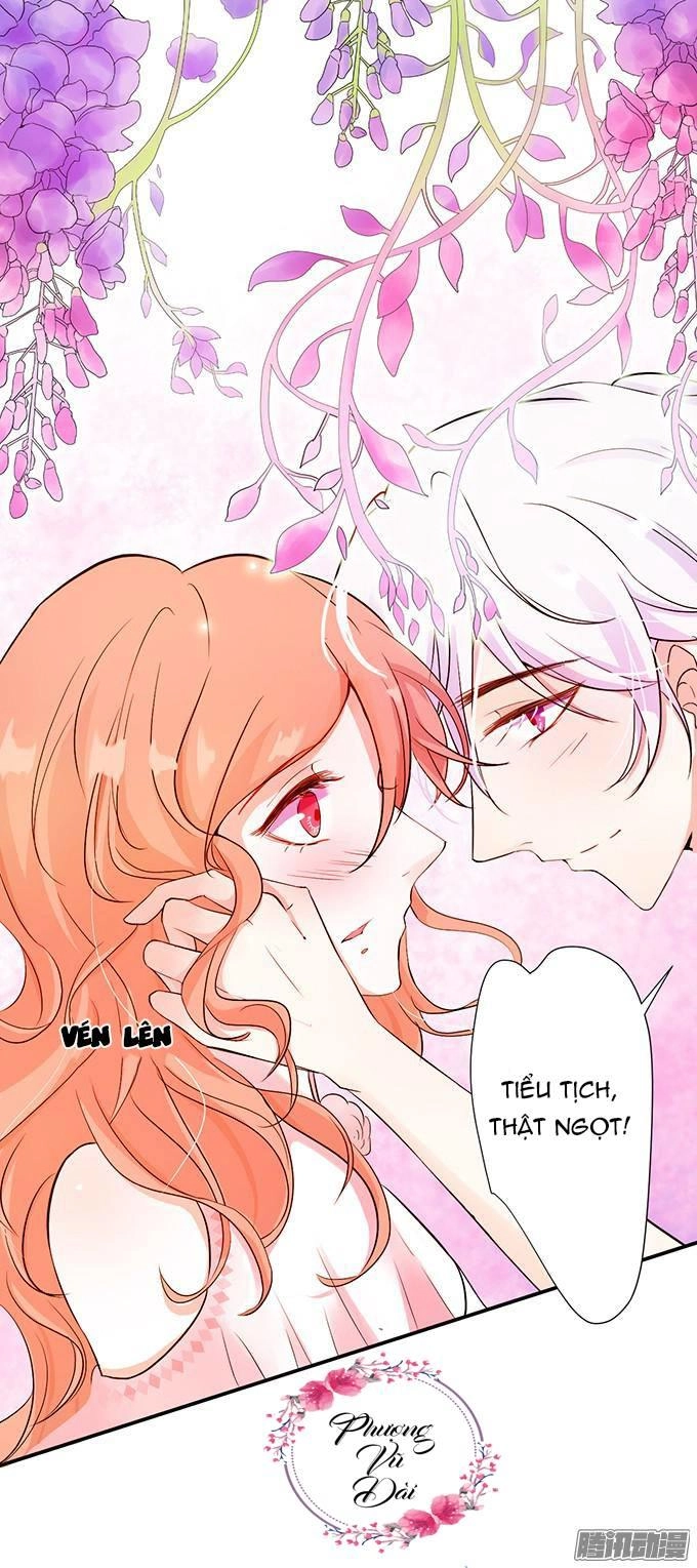 Huyết Tộc Đáng Yêu Chapter 12 - 23