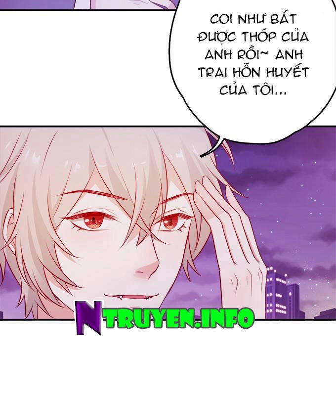 Huyết Tộc Đáng Yêu Chapter 29 - 21