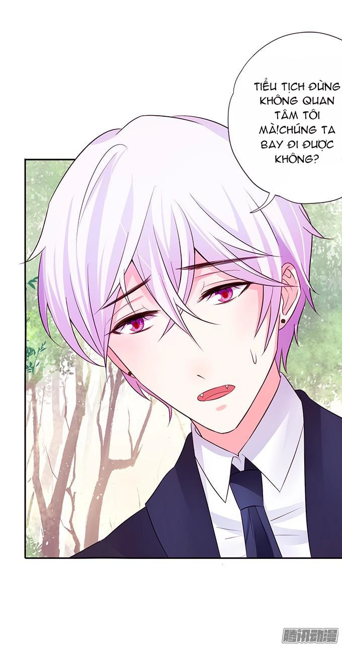 Huyết Tộc Đáng Yêu Chapter 35 - 19