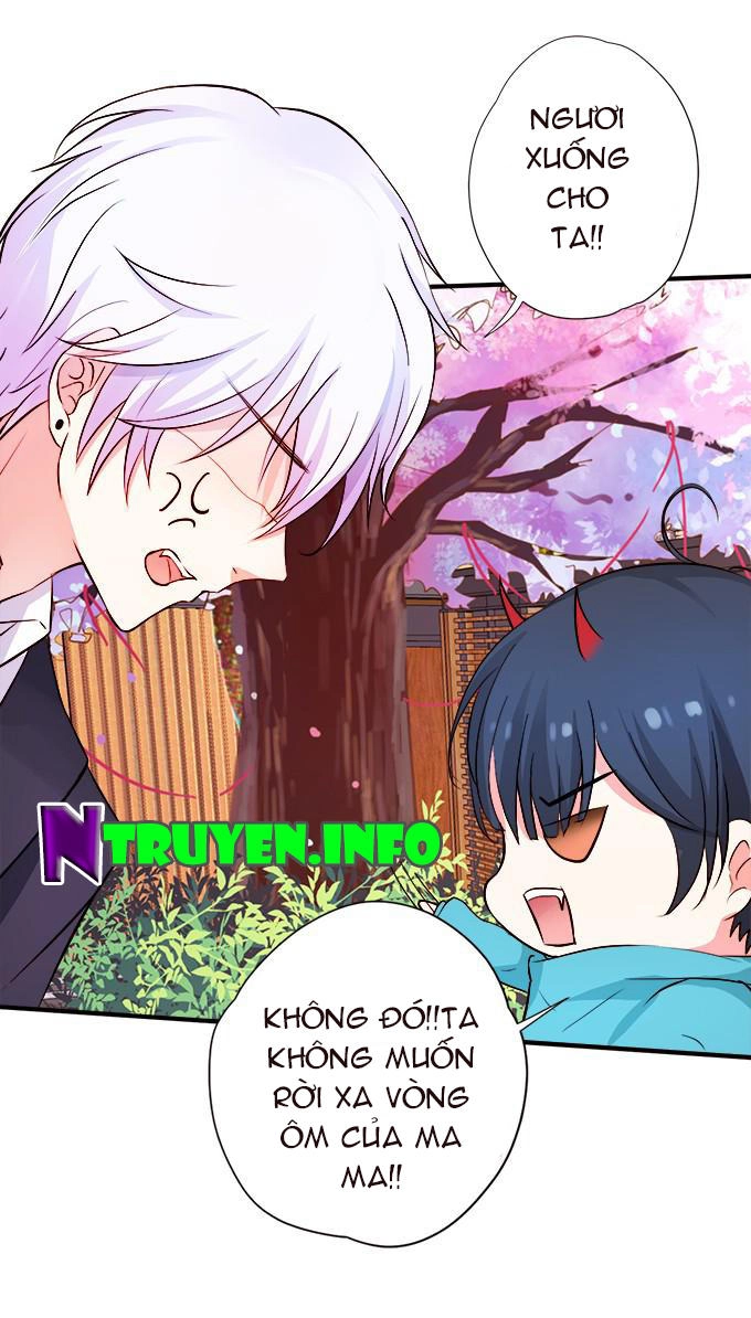 Huyết Tộc Đáng Yêu Chapter 36 - 24