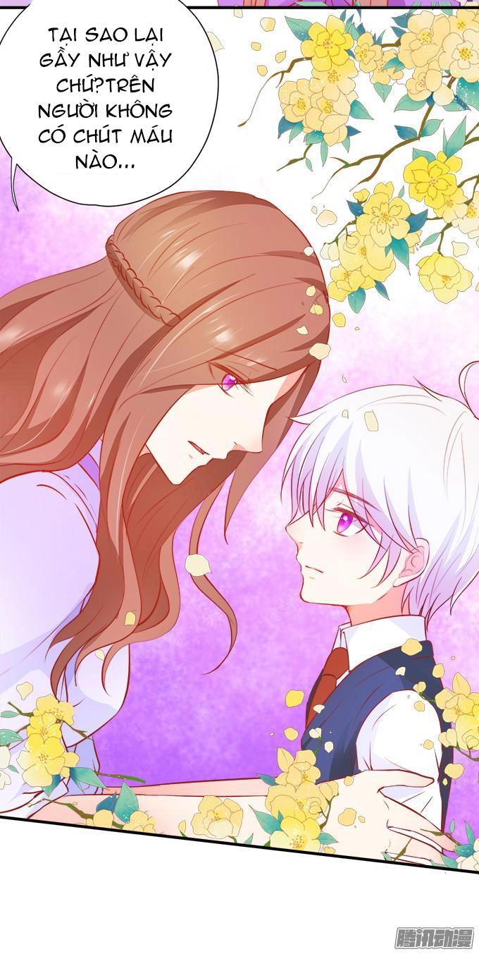 Huyết Tộc Đáng Yêu Chapter 38 - 17