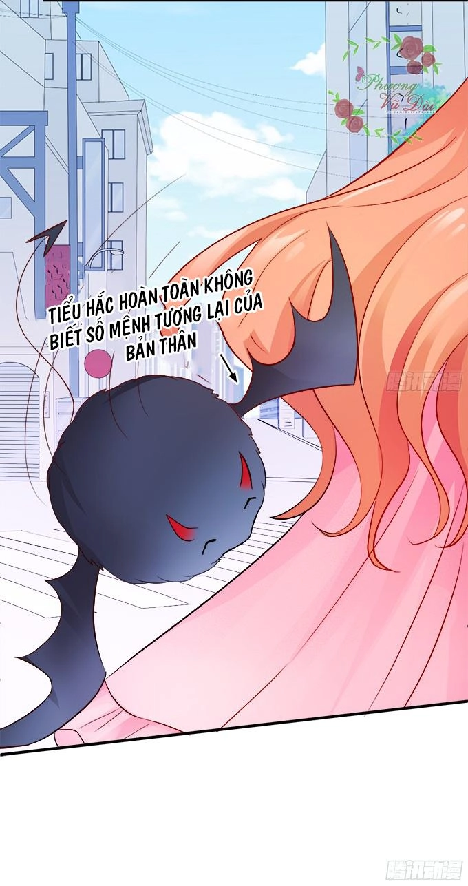 Huyết Tộc Đáng Yêu Chapter 46 - 43