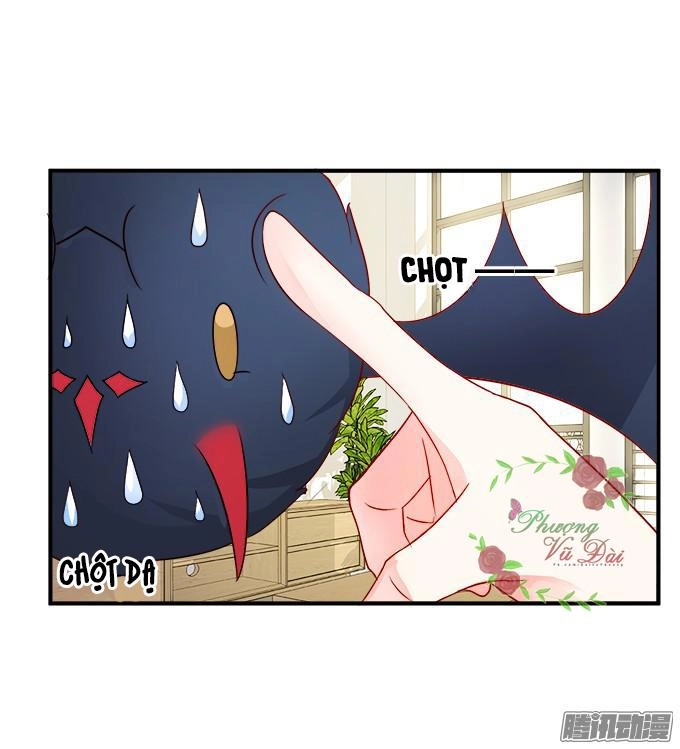 Huyết Tộc Đáng Yêu Chapter 47 - 17