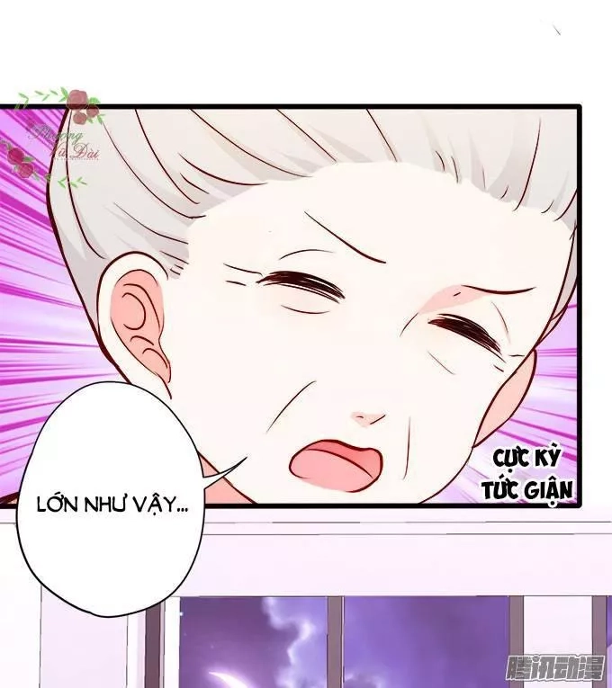 Huyết Tộc Đáng Yêu Chapter 48 - 15