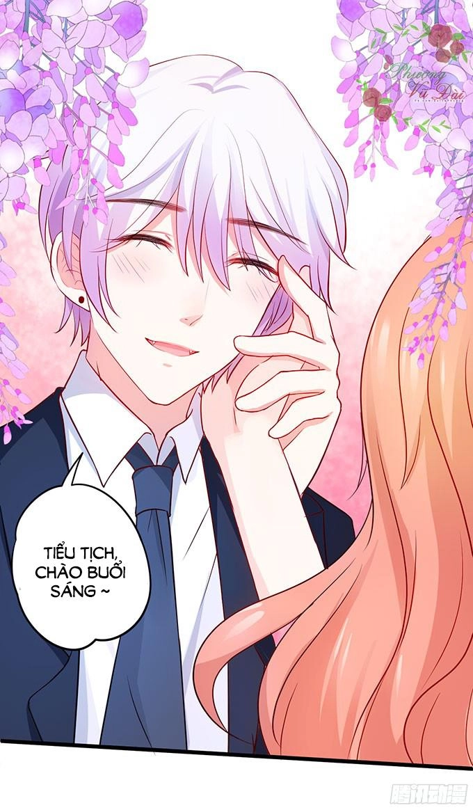 Huyết Tộc Đáng Yêu Chapter 51 - 35