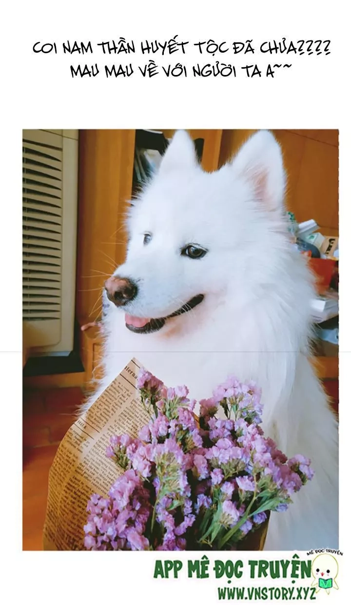 Huyết Tộc Đáng Yêu Chapter 60 - 71