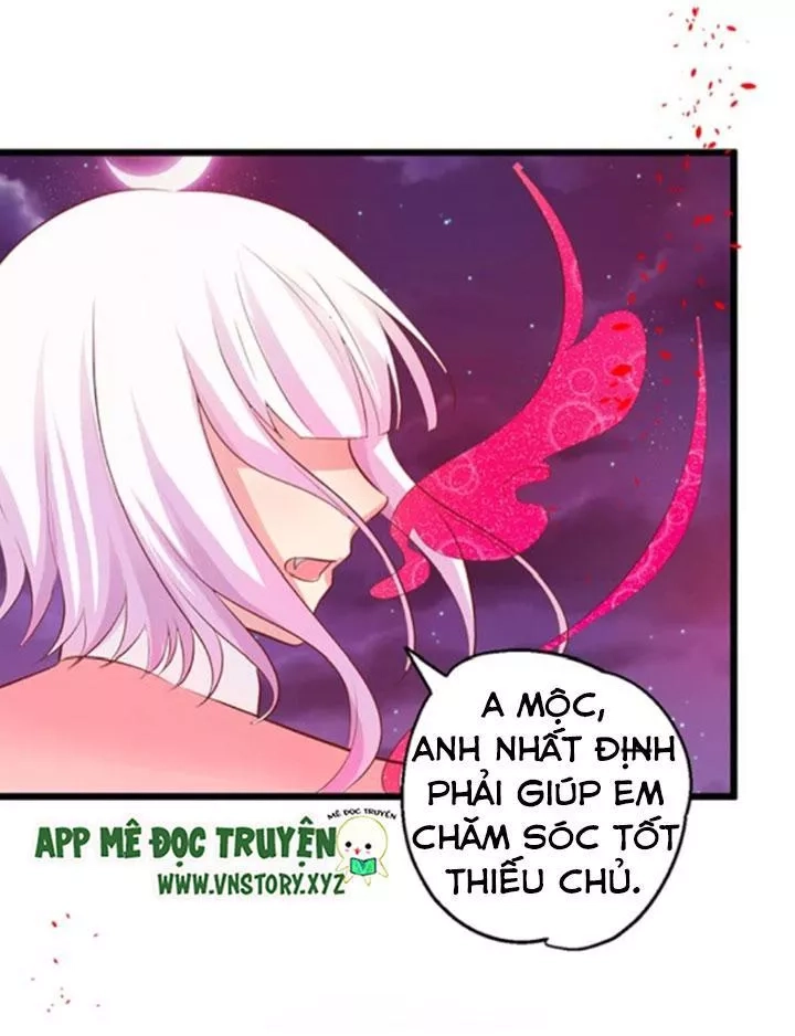 Huyết Tộc Đáng Yêu Chapter 63 - 24