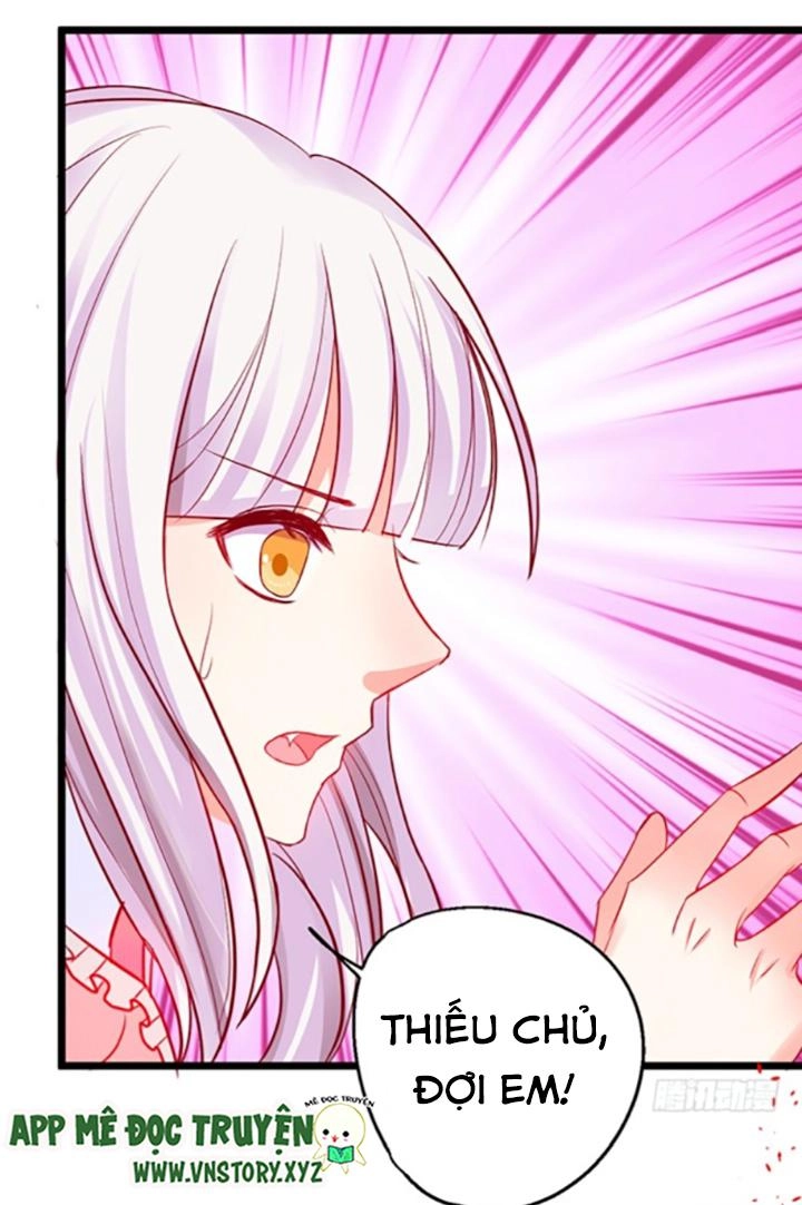 Huyết Tộc Đáng Yêu Chapter 68 - 42