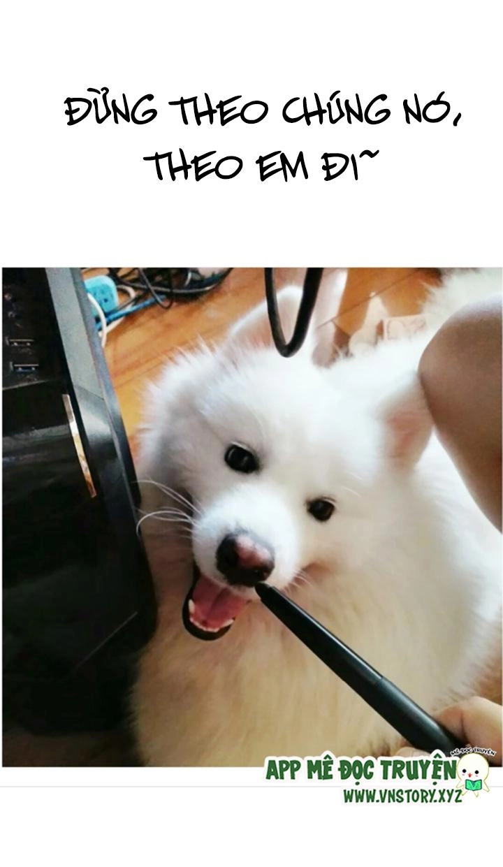 Huyết Tộc Đáng Yêu Chapter 68 - 65