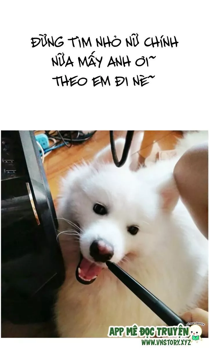 Huyết Tộc Đáng Yêu Chapter 69 - 72