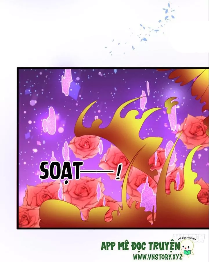 Huyết Tộc Đáng Yêu Chapter 74 - 15