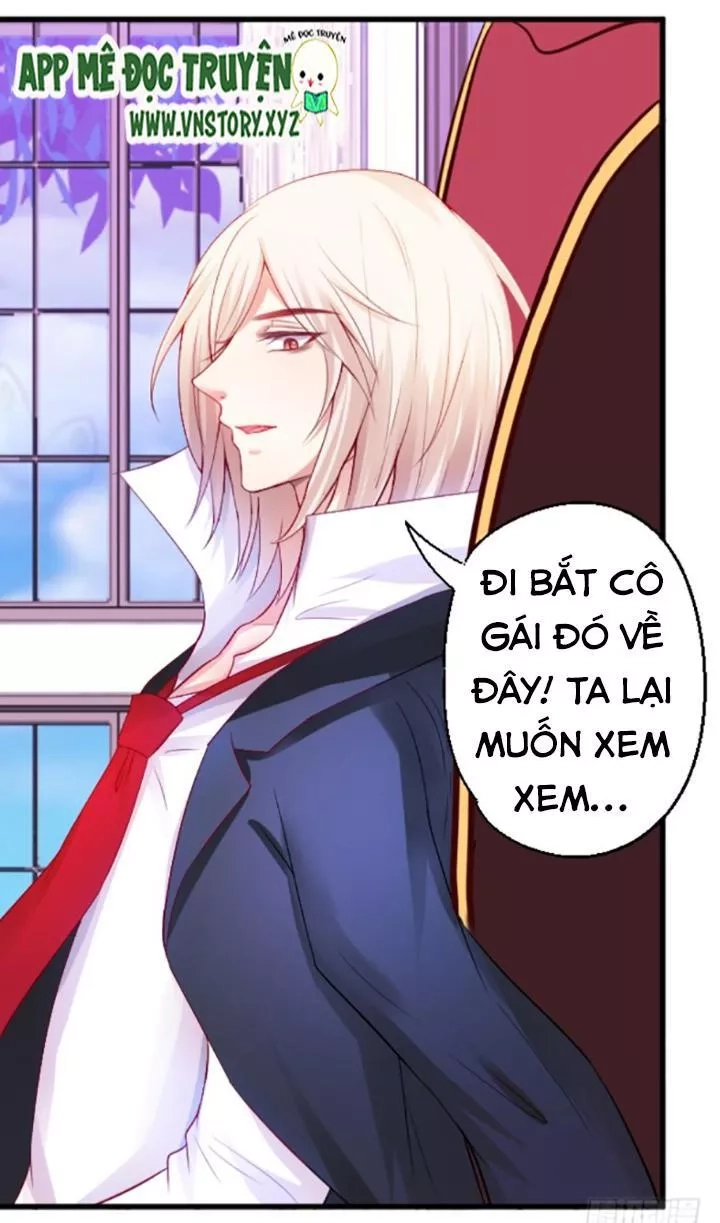 Huyết Tộc Đáng Yêu Chapter 75 - 64