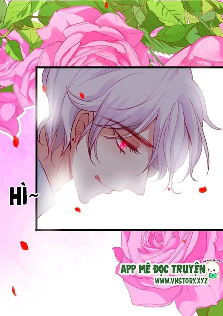 Huyết Tộc Đáng Yêu Chapter 78 - 12